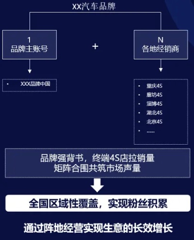 车品牌号运营全攻略，如何用品牌号撬动百万流量？