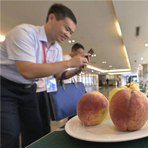 桃多多桃享卡额度如何套现？10万额度意味着什么