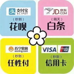 分期乐购物指南，如何精明挑选适合的套现方式