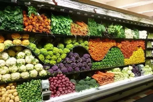蔬菜连锁加盟店热门品牌推荐
