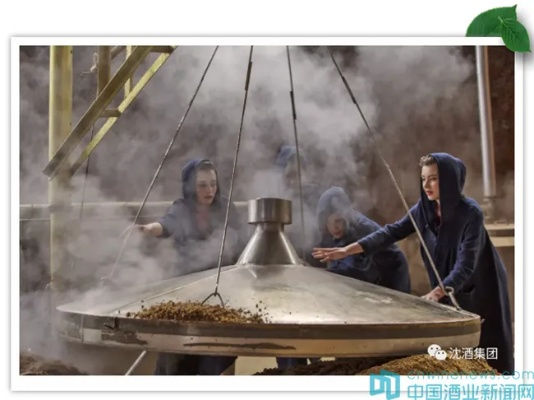 中国白酒发酵厂品牌全解析，老字号与新锐品牌如何争夺市场
