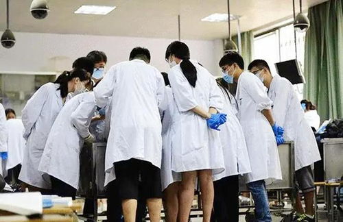 专科医学生毕业当乡村医生，从校门到村口的那些事