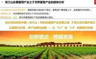 乡村休闲产业调研全攻略，从选题到落地，手把手教你玩转乡村经济
