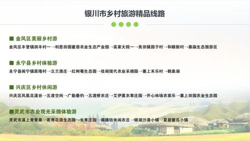 乡村休闲产业调研全攻略，从选题到落地，手把手教你玩转乡村经济