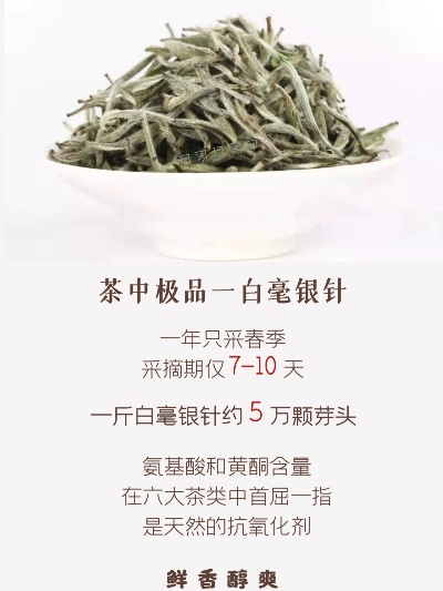白毫银针茶加盟品牌推荐