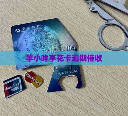 揭秘羊小咩享花卡商铺套现全攻略，方法、风险与避坑指南