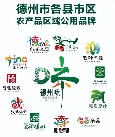 德州市加盟品牌店名录及案例分析