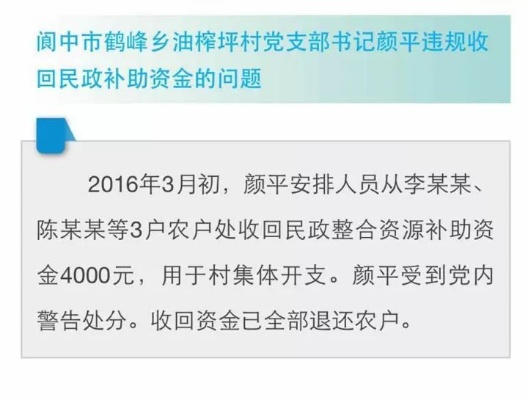 手把手教你查乡村书记补助，流程、案例和常见问题全解析