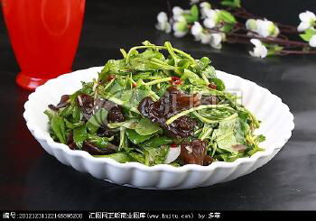 凉拌菜外卖加盟品牌推荐