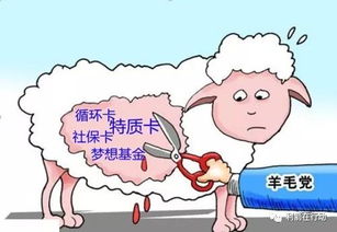 羊小咩便荔卡提现攻略，详细步骤与案例分享