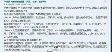 查开房记录，揭秘酒店入住信息的查询过程与注意事项