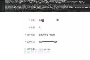 查开房记录，揭秘酒店入住信息的查询过程与注意事项