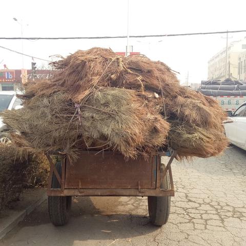 户外探险必备—选择一款适合您的松树户外品牌