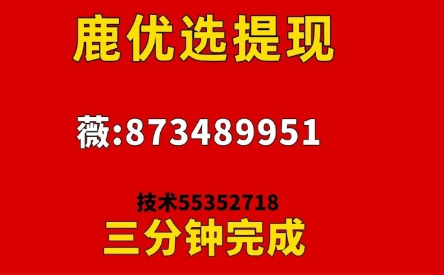 鹿优选额度提现攻略，秒到账，商家必知的秘密