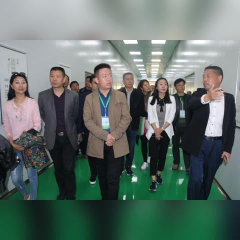 云南茶叶压饼机品牌排行榜，选对设备，让茶香更醇厚