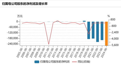 虹口区鸭绒被批发全攻略，价格、选购技巧与市场趋势