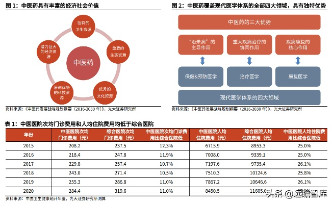 中医药品牌崛起，传统智慧与现代创新的融合之旅