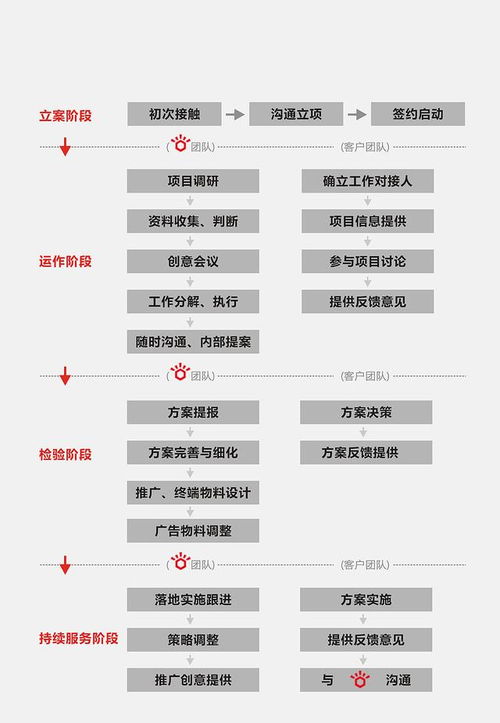 农村母婴品牌发展策略与案例分析