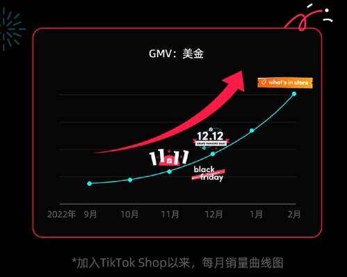 农村母婴品牌发展策略与案例分析