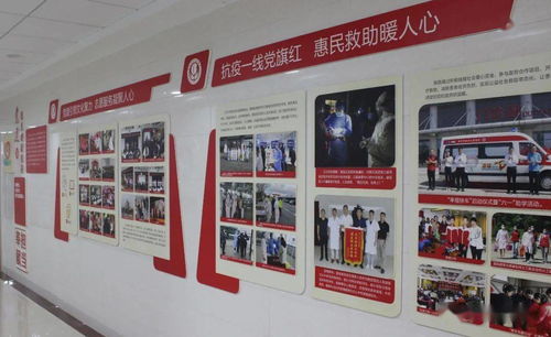 母婴党建品牌，引领母婴健康与社会发展