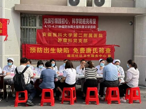母婴党建品牌，引领母婴健康与社会发展