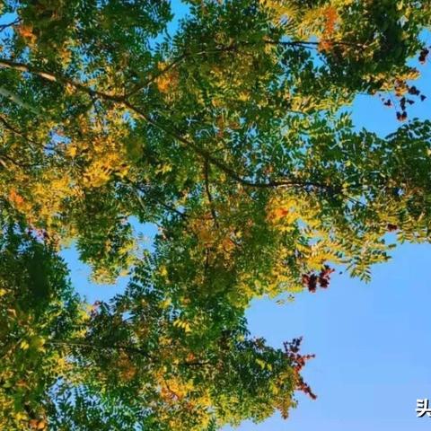 绵竹景点好评排行榜，小众秘境与网红打卡地全攻略