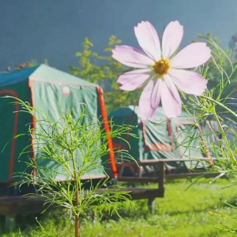 绵竹景点好评排行榜，小众秘境与网红打卡地全攻略