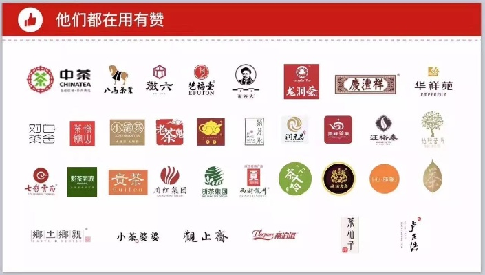 江门茶叶品牌招商加盟全攻略，从入门到盈利的实战指南