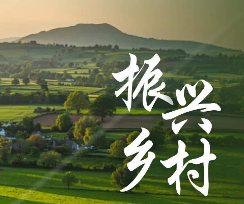 大学生乡村振兴指南，从迷茫到行动的实用攻略