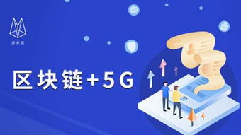 揭秘免费查开房软件，隐私与安全的边界