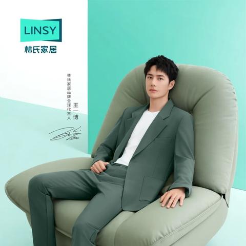 中国家居品牌排名概览