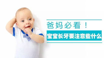 新手妈妈必看！电脑材质与奶嘴材质的选购指南，从防摔到易清洁，这些电脑品牌最贴心