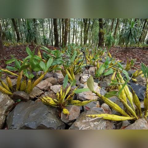 医药品牌故事搞笑视频