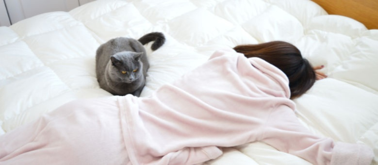 猫主子们的冬被大比拼，鸭绒被真的香吗？