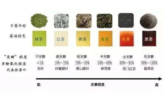 茶叶品牌名字大全及图片，从传统到新潮的命名密码