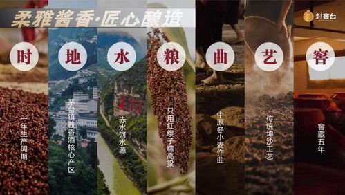 山东酱酒加盟条件及品牌推荐