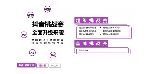 鄢陵抖音月付取现详解，操作指南、注意事项与案例分析