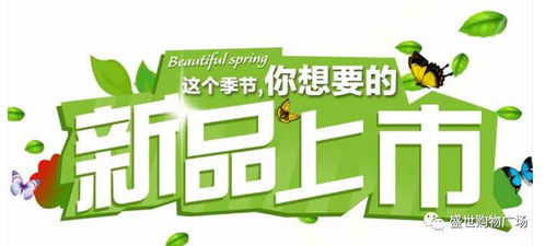 减肥加盟店品牌推荐及案例分析