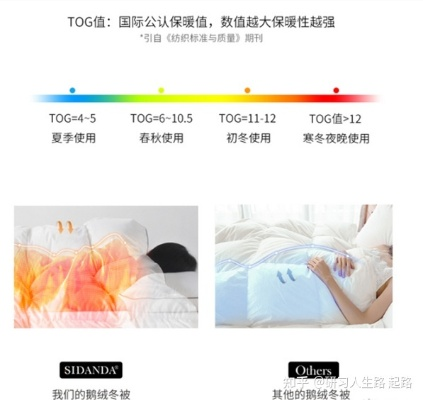 鸭绒被盖着真舒服呀什么意思？一张图看懂保暖、健康与性价比的终极答案
