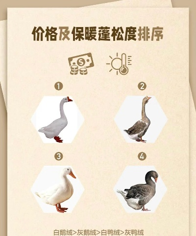 鸭绒被盖着真舒服呀什么意思？一张图看懂保暖、健康与性价比的终极答案
