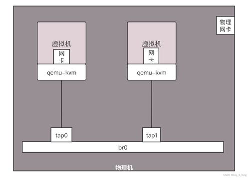 服务器、虚拟机、物理机连接全解析，从基础到实战的五大关键点