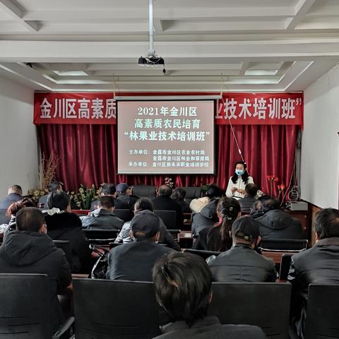 乡村小学素质教育落地指南，从理念到实践的五个关键步骤