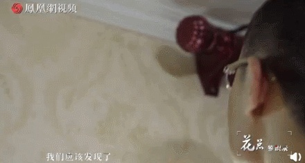 如何保护隐私？揭秘酒店开房记录查询的真相与合法途径