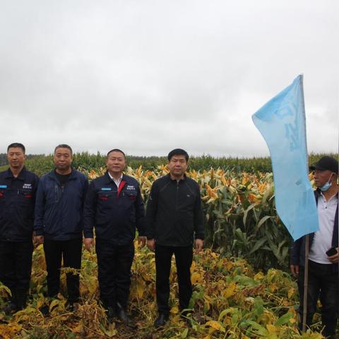 从田间到乡村，农业知识如何赋能乡村振兴