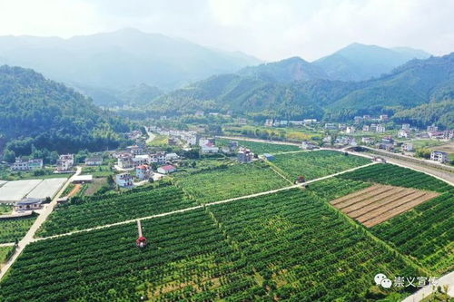 清远乡村振兴，生态赋能产业，激活绿水青山