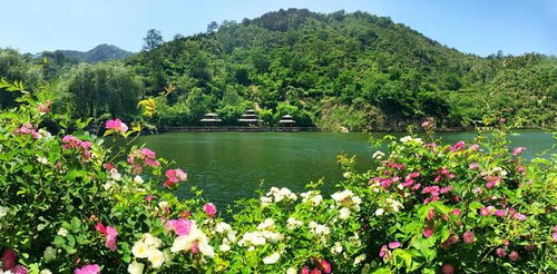 清远乡村振兴，生态赋能产业，激活绿水青山