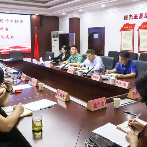 医药品牌事业部的战略规划与执行