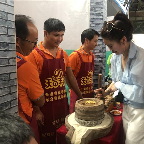 老式冰箱品牌推荐指南，经典实用还是过时落后？