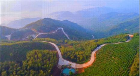 安溪网红景点红黑榜，这些地方火到爆，这些地方千万别踩雷！
