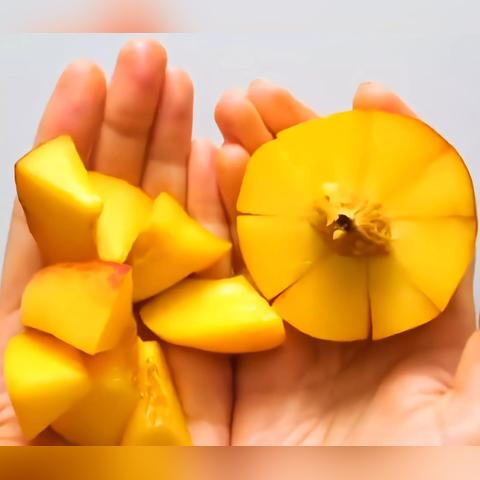 洗菜工具玩具品牌全解析，从传统到智能的清洗革命
